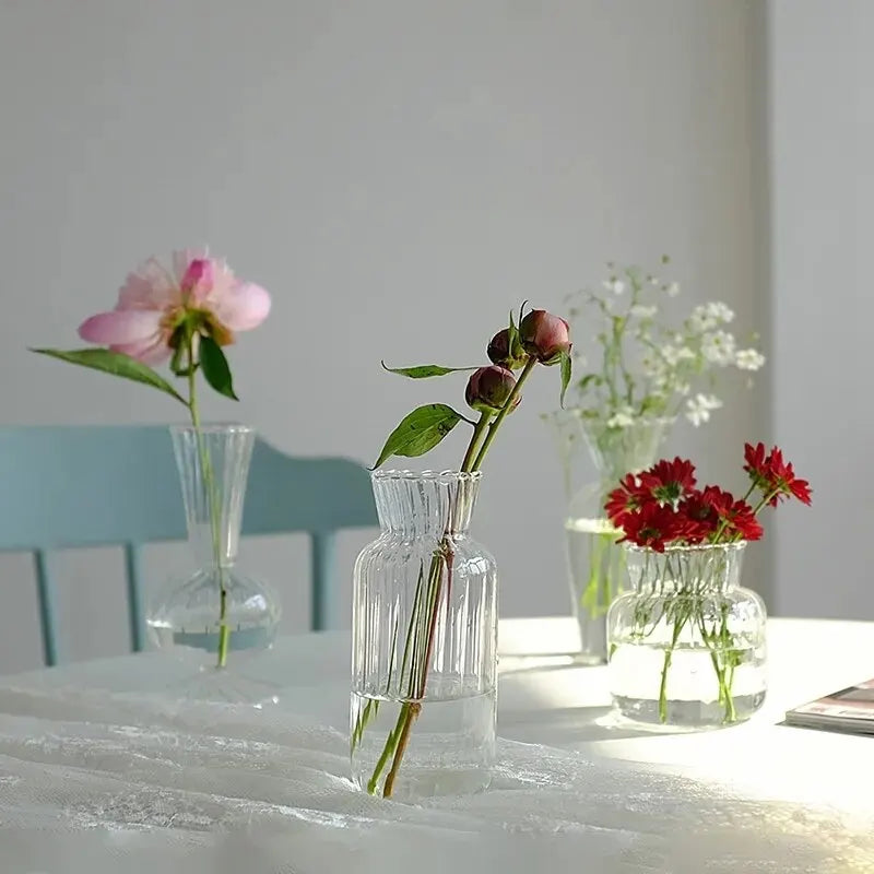 Nordic Creative Transparent Vases for Plant